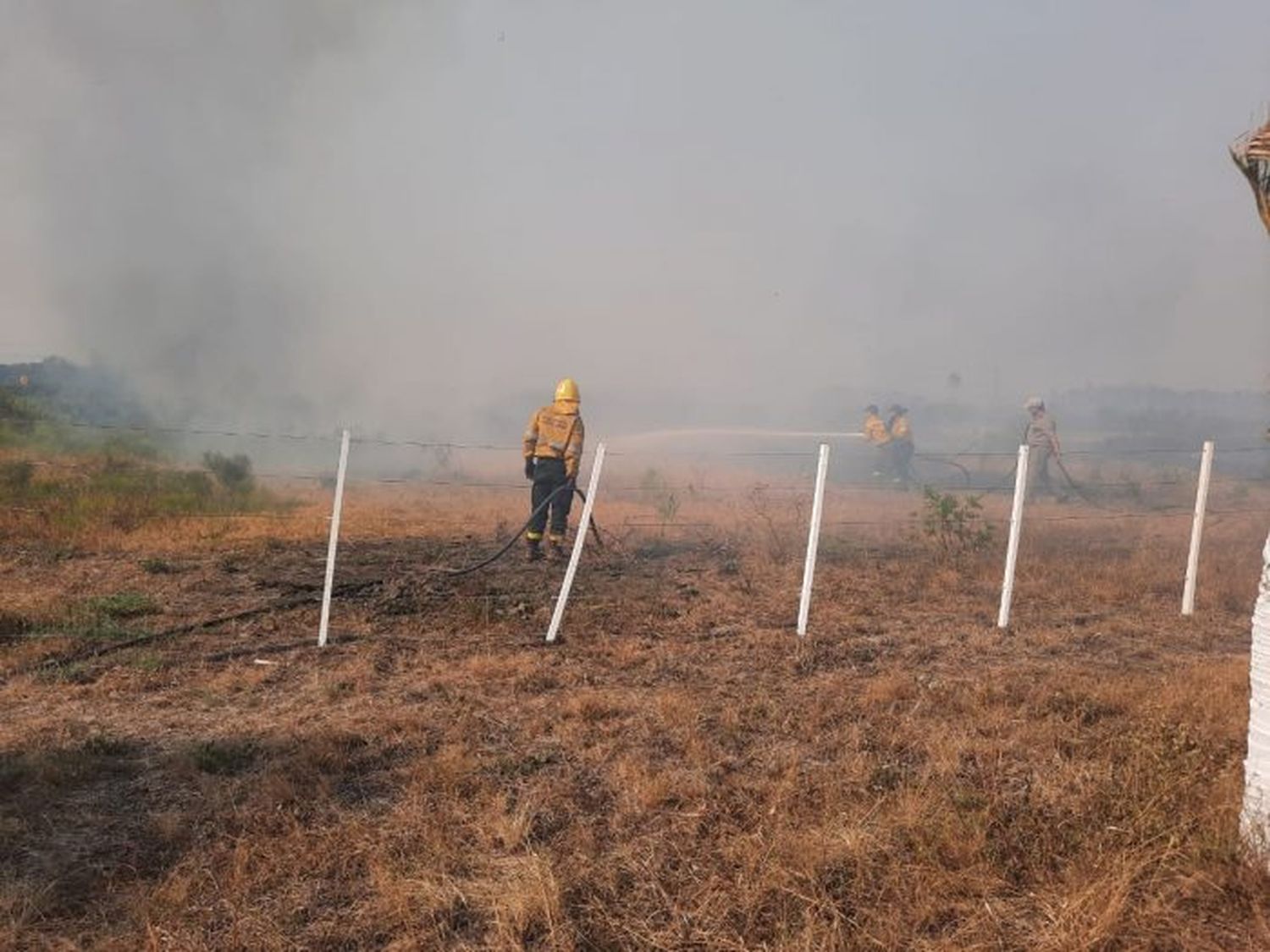 Los bomberos intervinieron en 366 incendios en campos y basurales en lo que va de enero