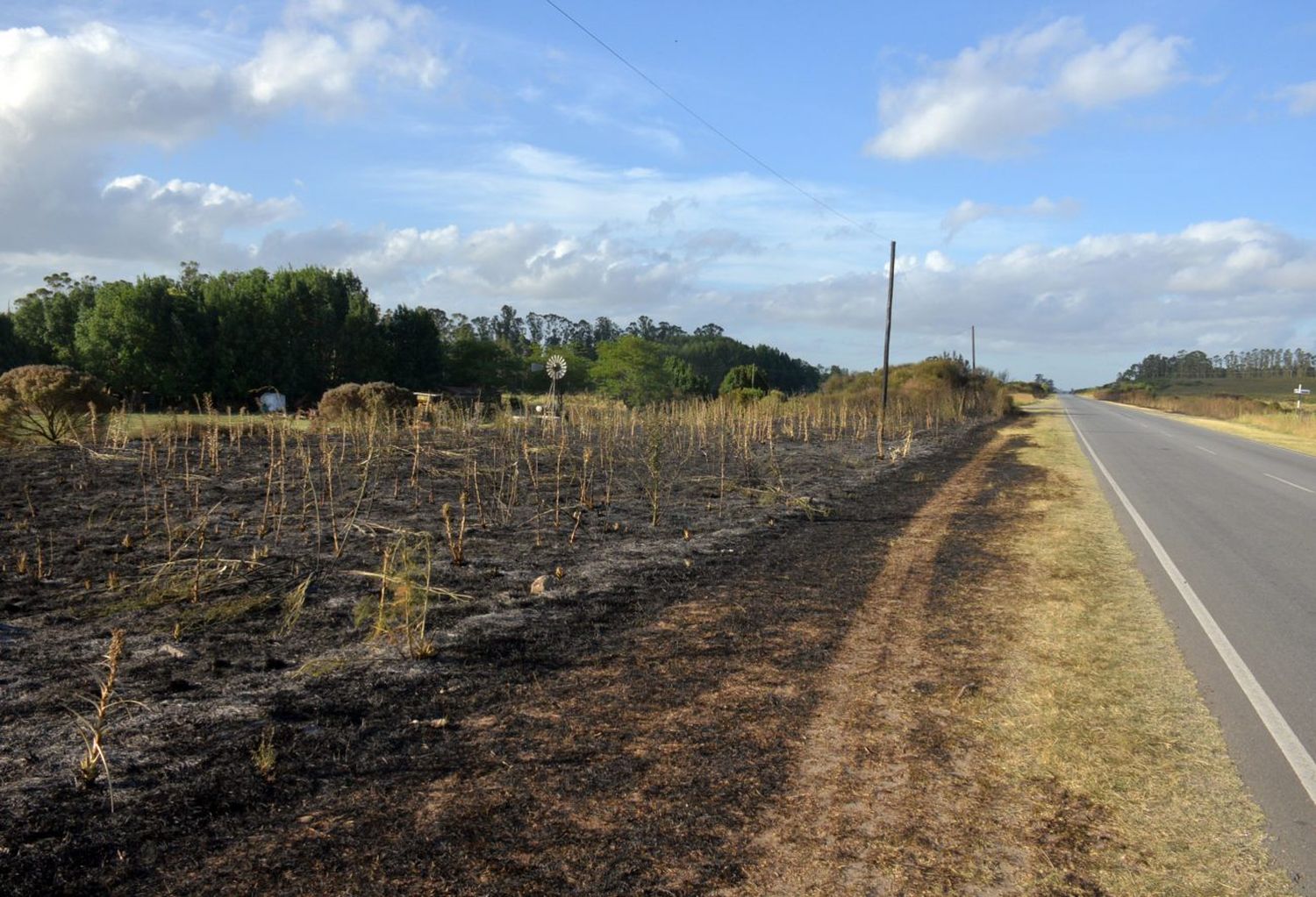 Bomberos trabajaron a destajo por distintos focos de incendios