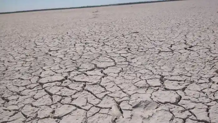 Siguen secándose  lagunas santafesinas