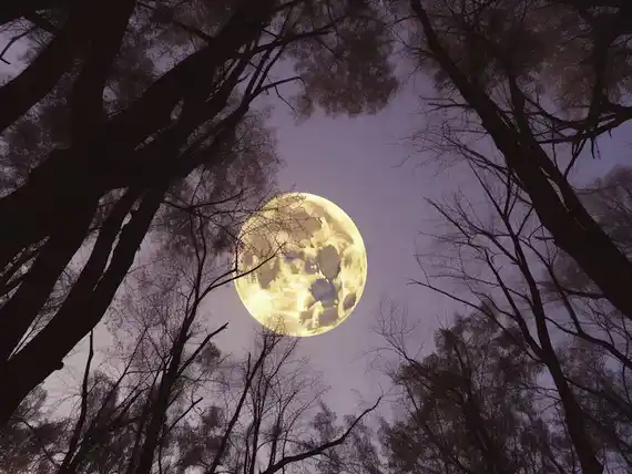 Luna llena del 9 de agosto: dónde y cómo verla mejor
