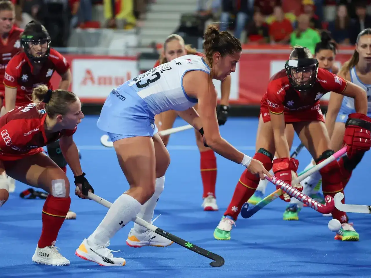 las leonas
