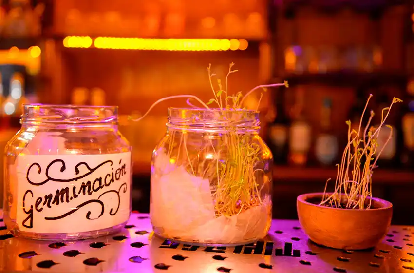 El Municipio distinguió a una Pyme local por sus buenas prácticas ambientales