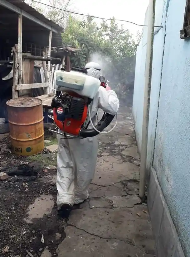 Con más de 60 casos oficiales, Nogoyá es transmisora viral de dengue