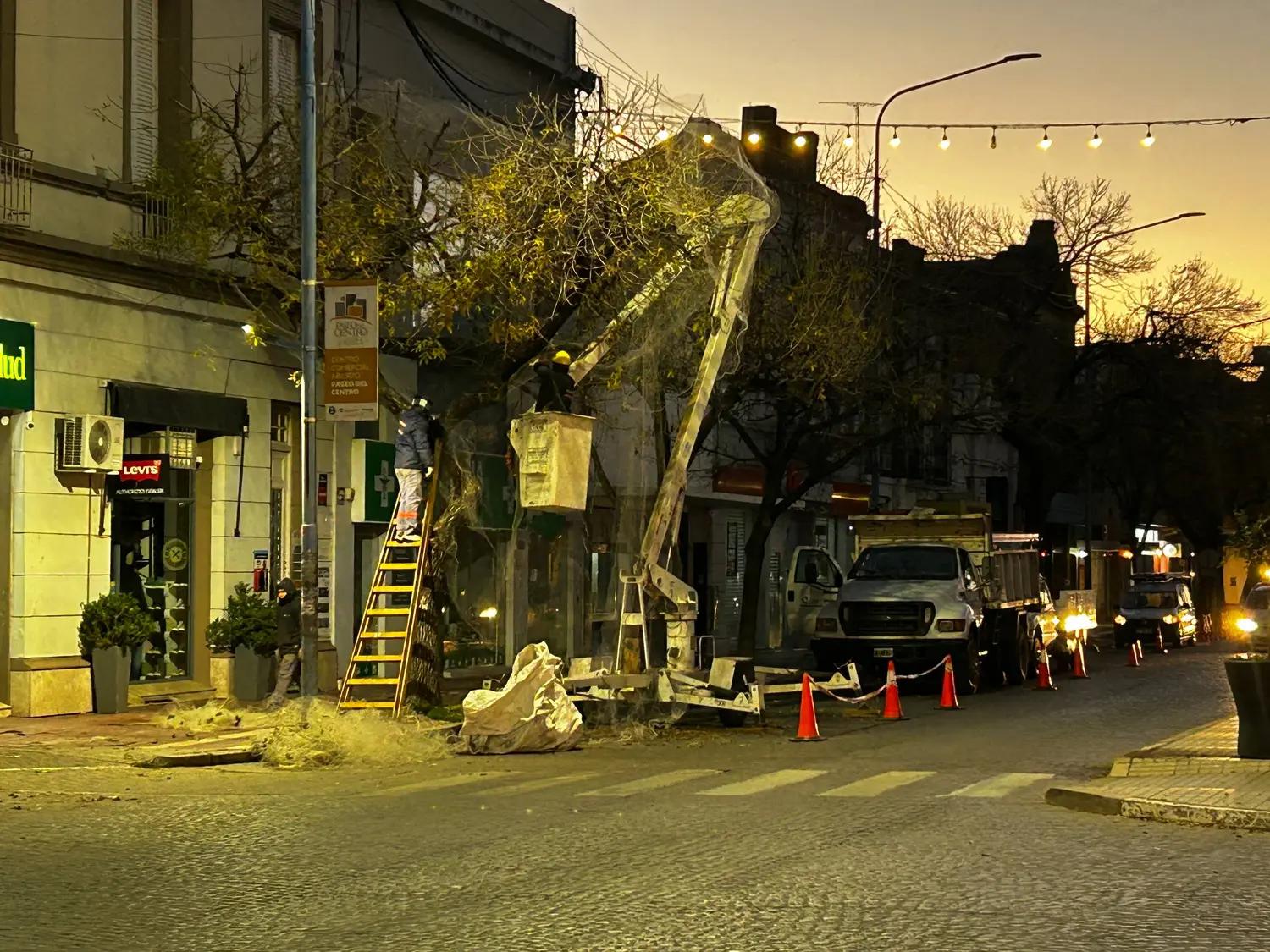 Instalaron nuevas redes en algunos árboles del microcentro para ahuyentar las aves