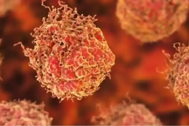 Un descubrimiento inmunológico podría servir para tratar numerosos tipos de cáncer