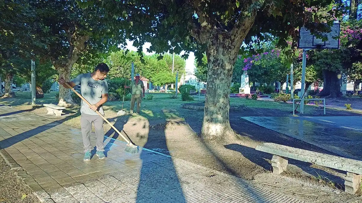 Dejaron de ir a la plaza por el excremento de aves que se posan en los plátanos
