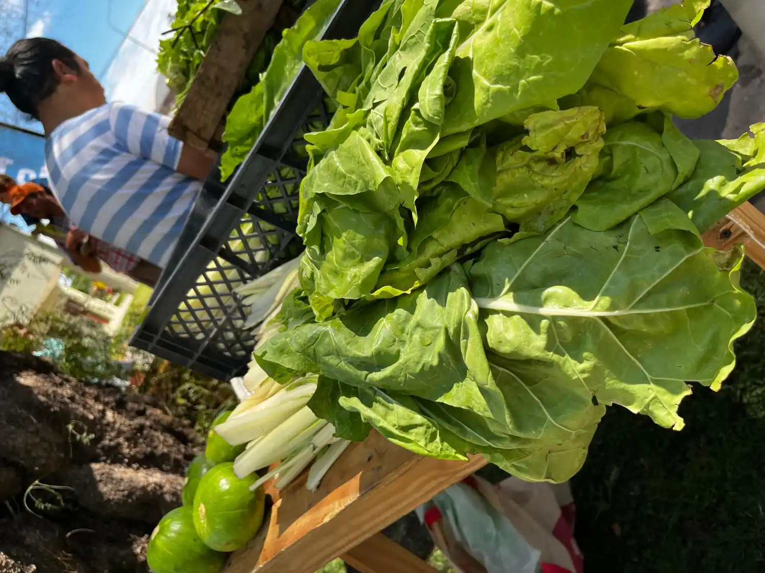 “Huerteros en Tu Barrio” pasó por plaza España