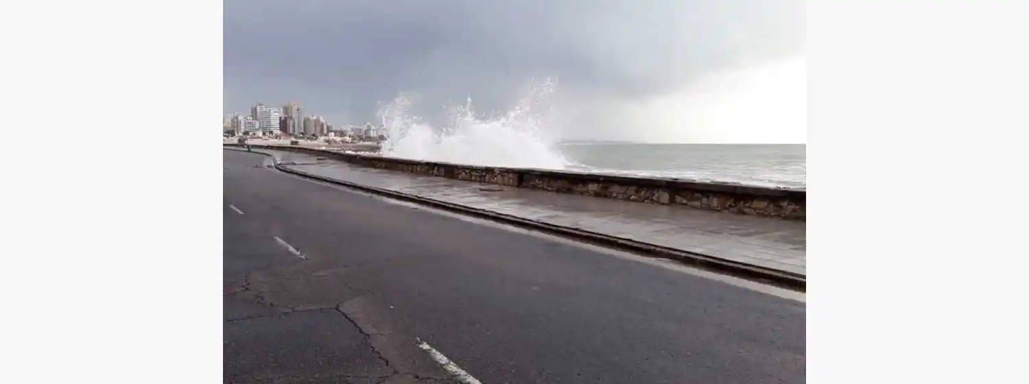 Las ráfagas podrían molestar la salida a la playa en el último día de enero.