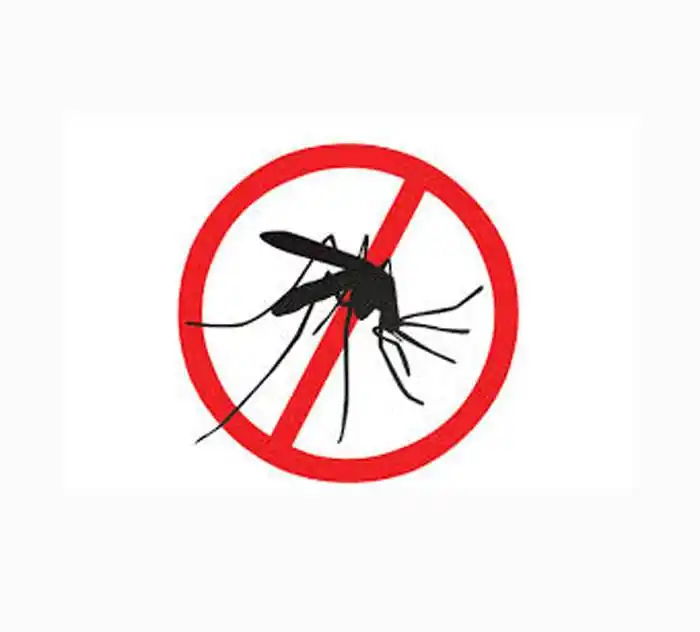 Continúa adelante la prevención del dengue