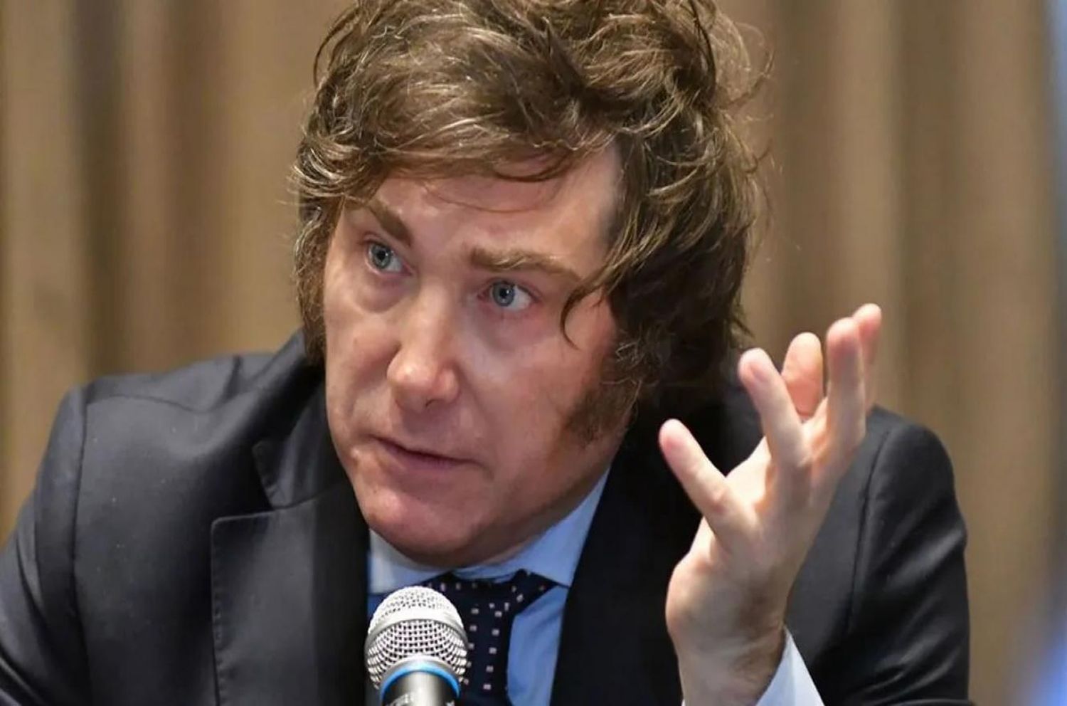 “Milei va a poner un misil que  a a conmover todo,  pero después todo se pacificará”