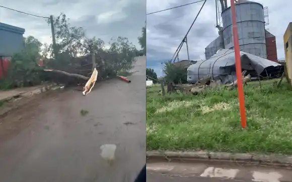 Temporal en 30 de agosto, Trenque Lauquen: Por los vientos, cayeron antenas, árboles y techos