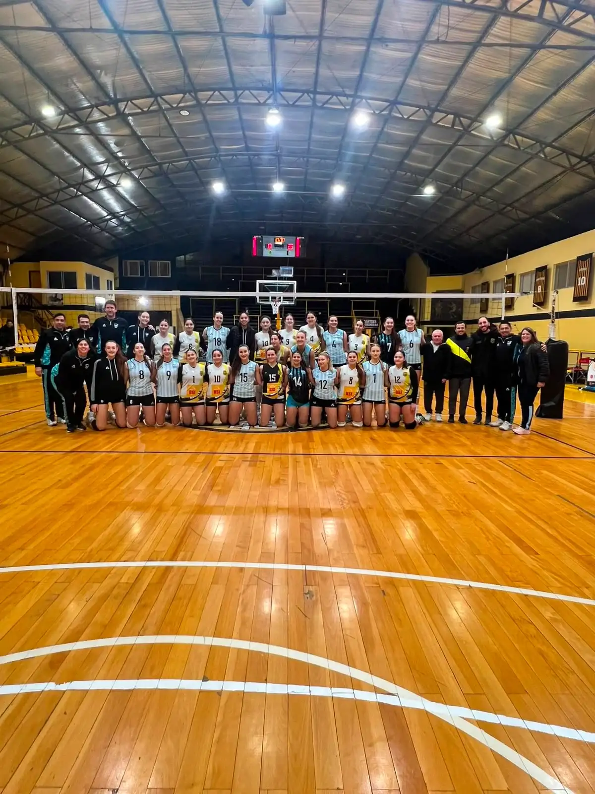voley rolon - 4