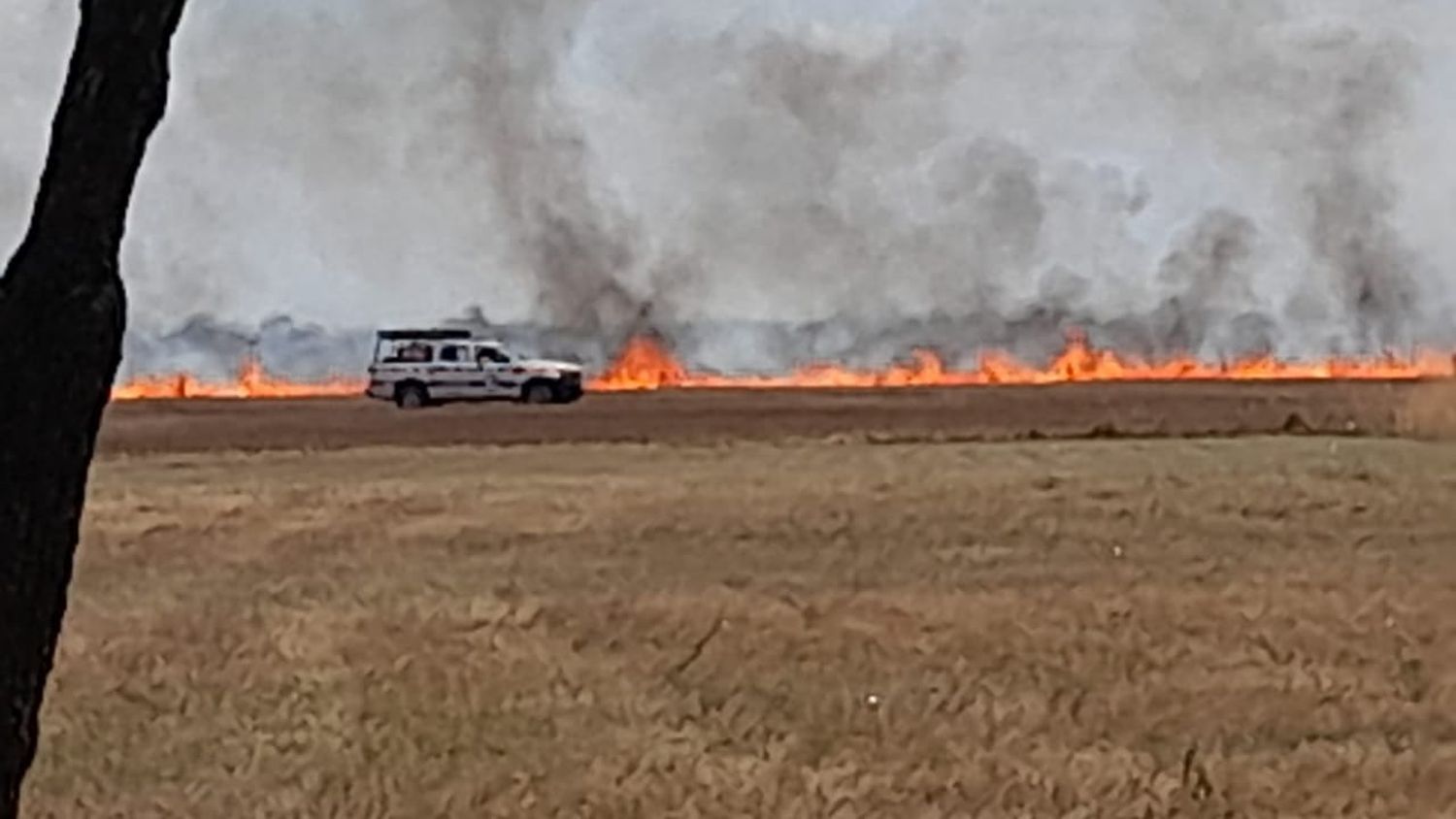 Controlaron un incendio en tres campos de Santa Ana