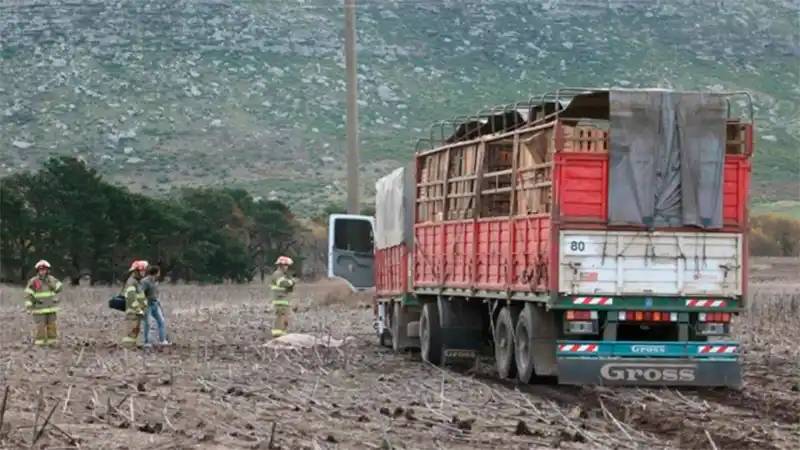 Camionero entrerriano falleció tras descompensarse mientras manejaba