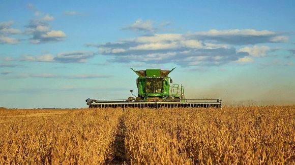 “La vuelta de las retenciones afecta porque el 80% de lo que producimos lo tenemos que vender”