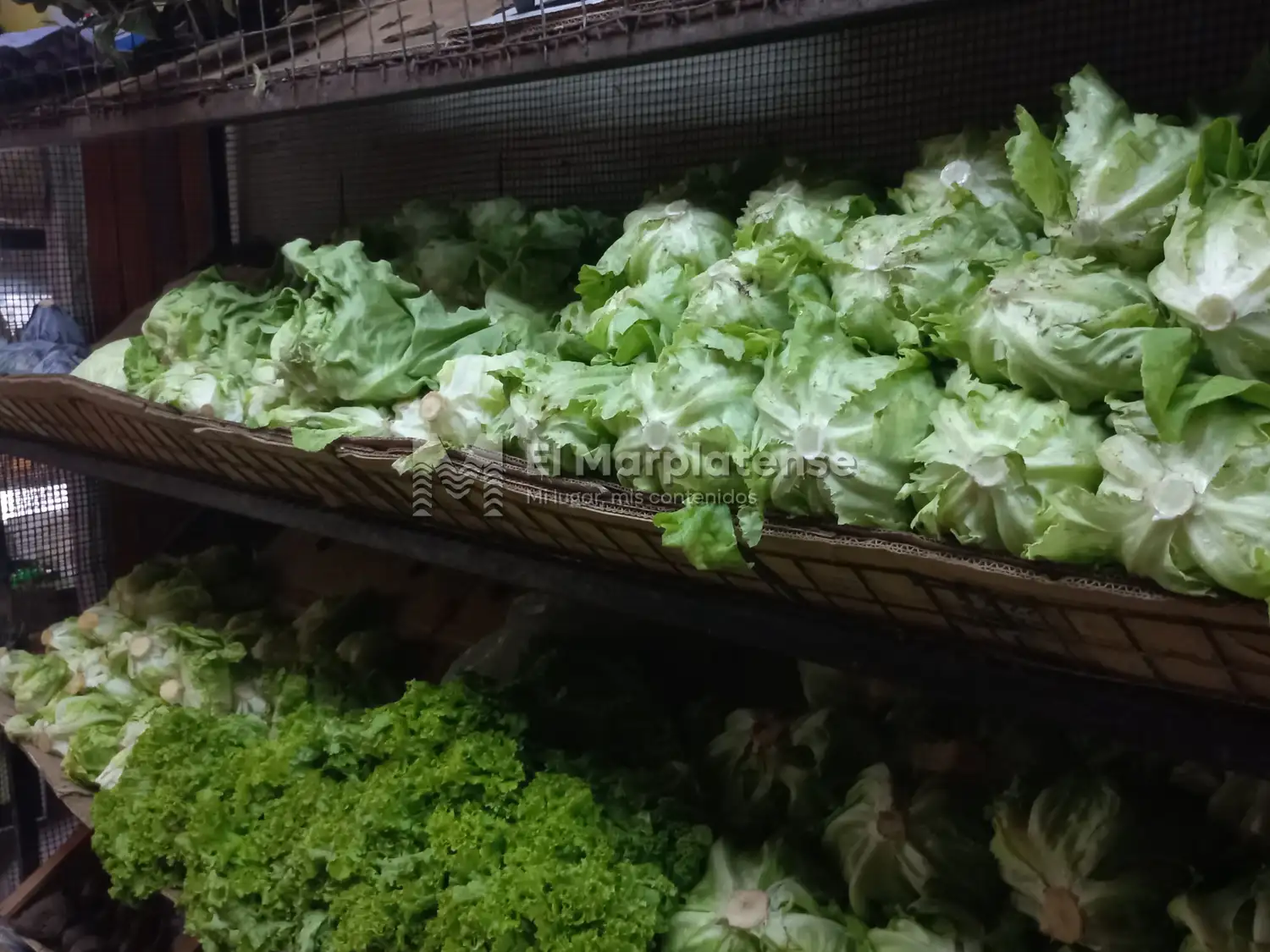 Los precios aumentaron un 100% en dos días.