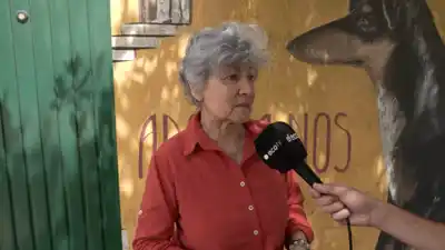 Tras reclamo por estado de los caniles, el Ejecutivo recibió a proteccionistas