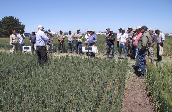 La Agraria le mostró la fina a más de 70 productores