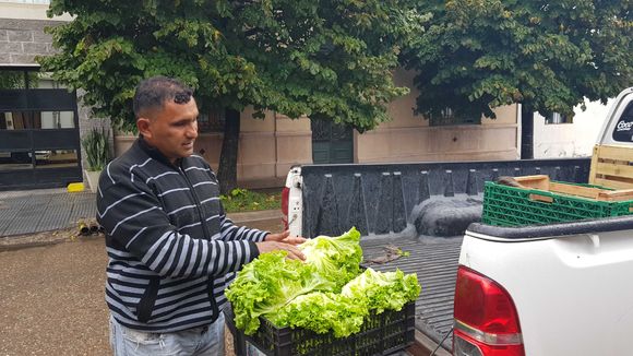 Oficios extraordinarios: Paulino, el horticultor que defiende la cultura del trabajo en “La Negrita”