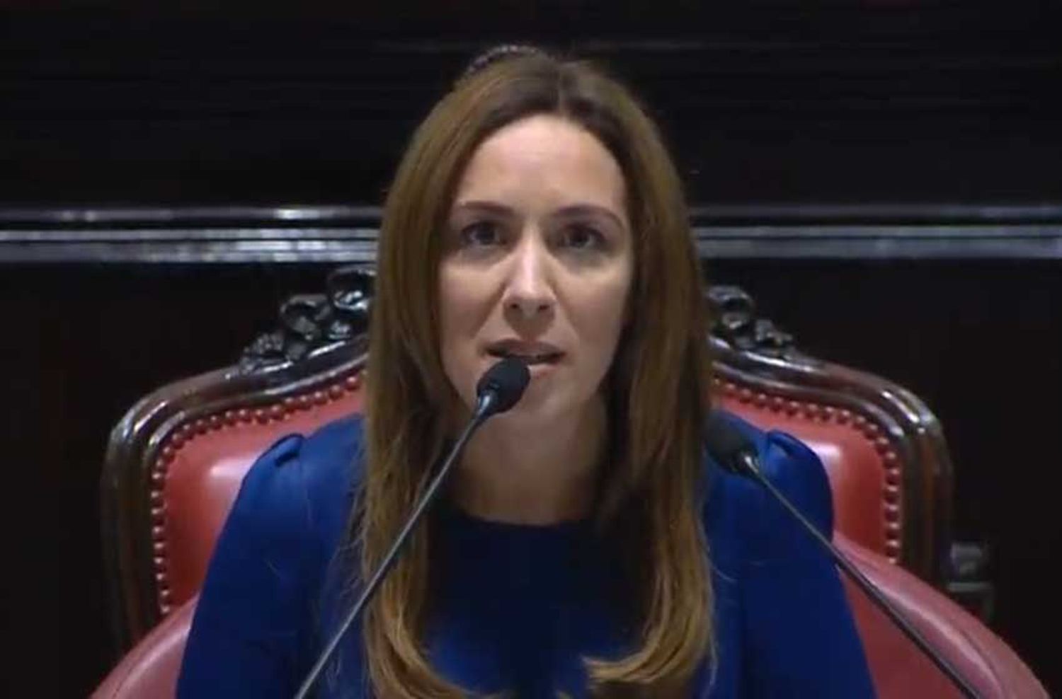 Vidal se presentaría como querellante en la causa de espionaje