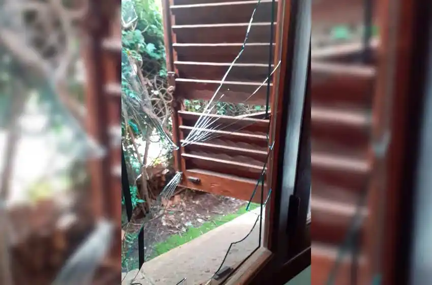 Robo a vinoteca de Güemes: se llevaron dinero, botellas caras y hasta tomaron un poco de vino