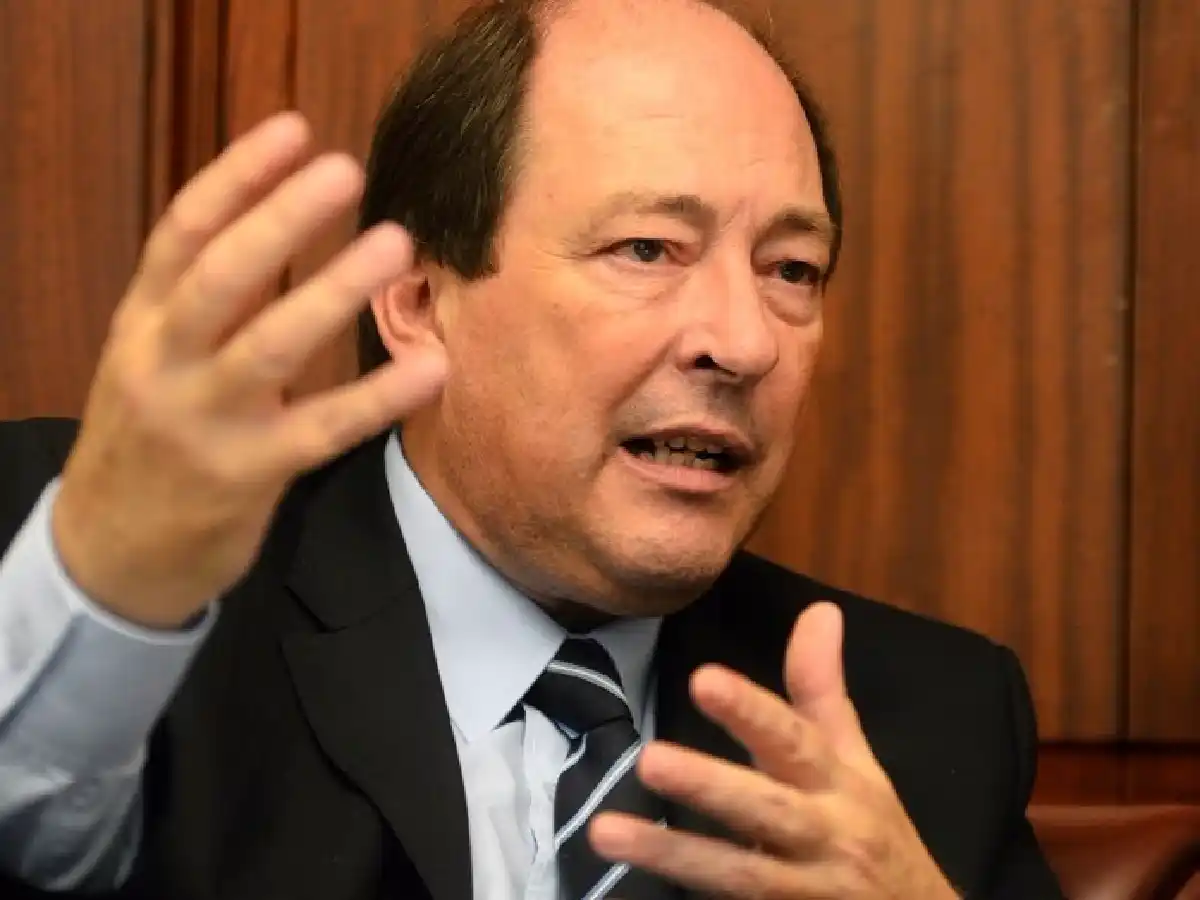Sanz: "El PRO se equivoca si se siente dueño de Cambiemos"  
