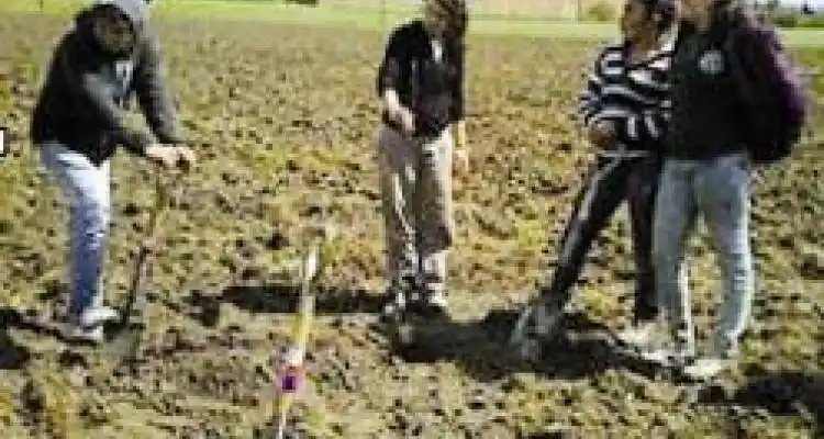 Los viveros colaboraron con la Agropecuaria