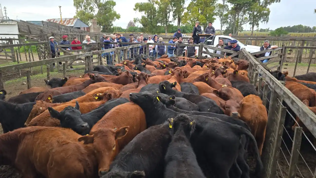 Consultora Ganadera tuvo su Especial de Otoño en la feria