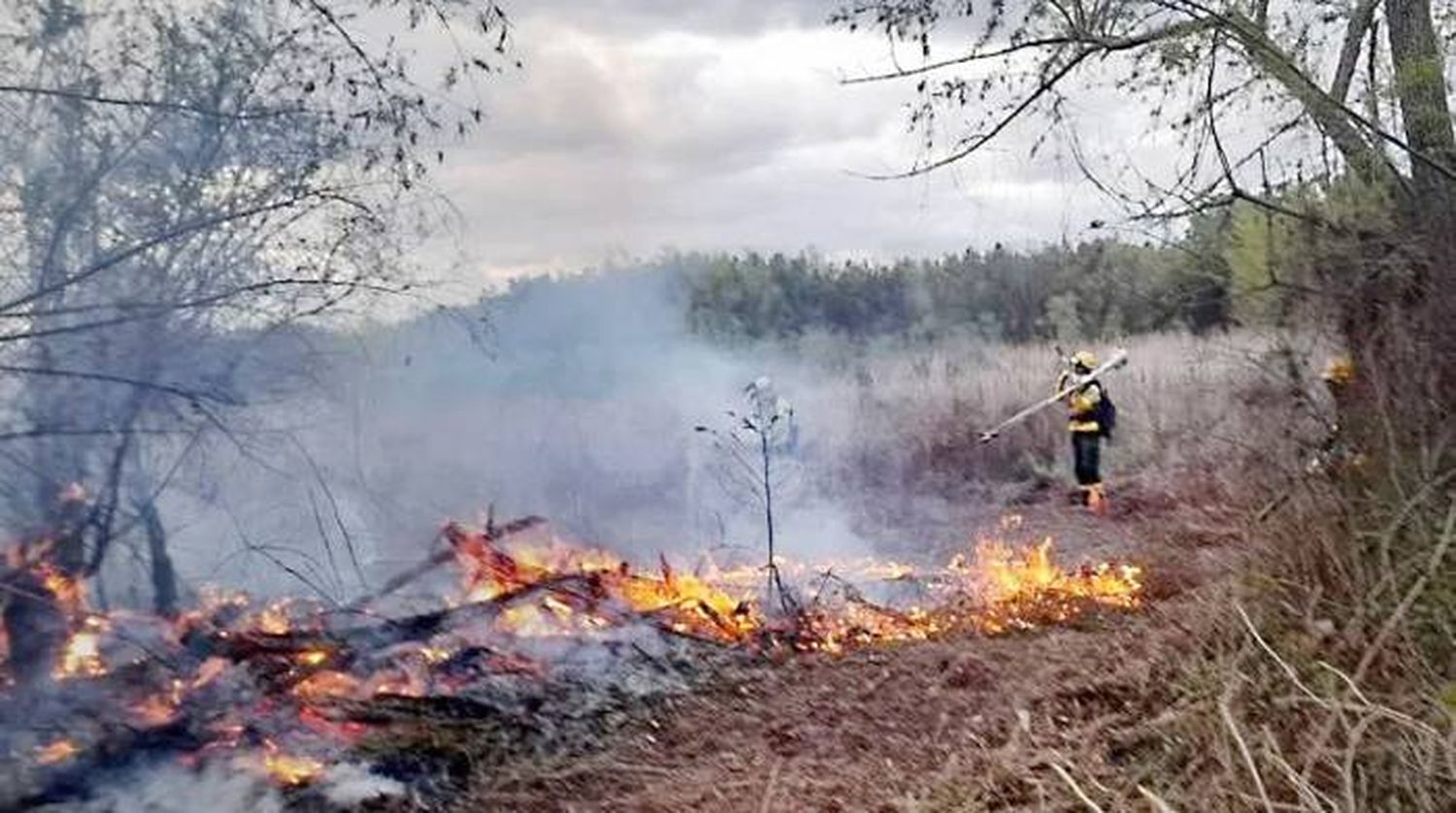 Son tres los focos activos en el Delta y se los combate por tierra y aire