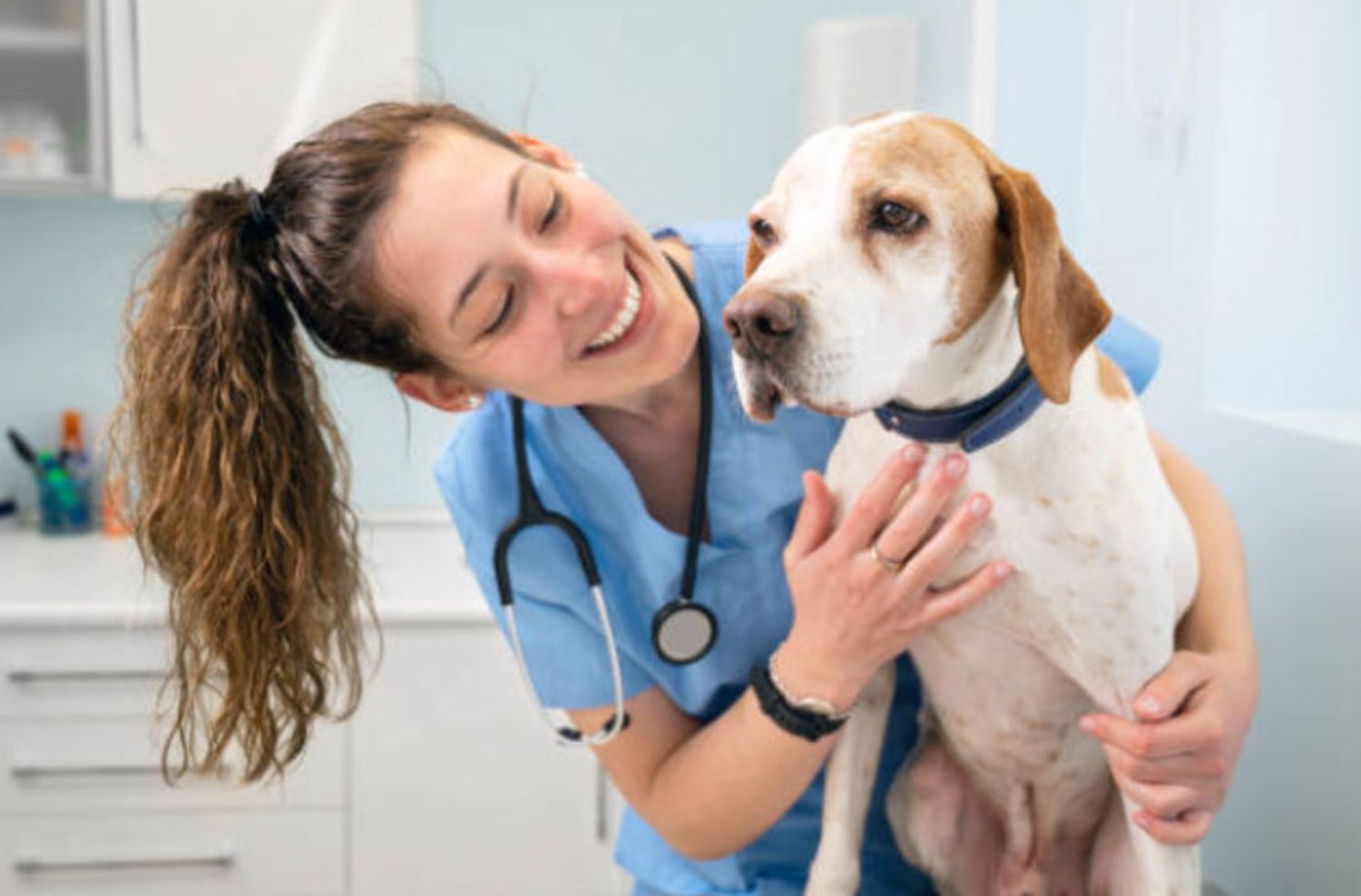 El rol del Médico Veterinario