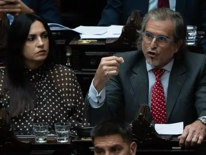 El diputado libertario Bertie Benegas Lynch defendió el proyecto del Ejecutivo.