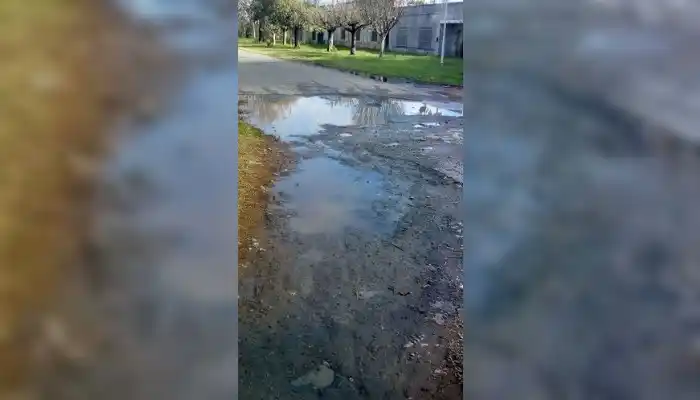 “Así está para ir a la escuela 10”