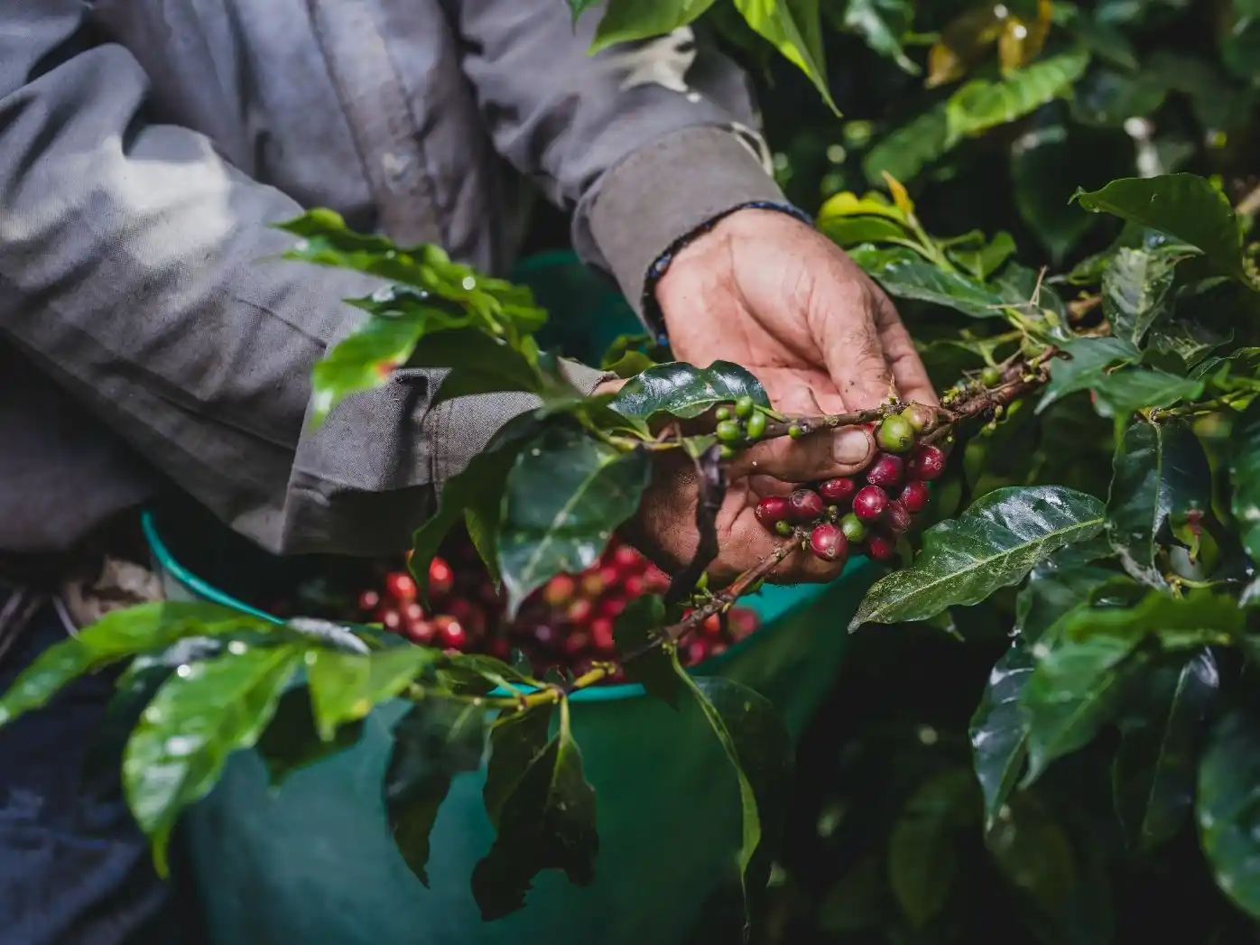 Medida de EEUU que elimina el arancel del 10% amplía las oportunidades para Colombia, según AmCham