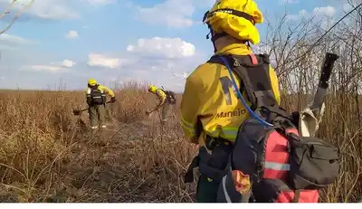 Sigue el riesgo de incendio "extremo" en Córdoba
