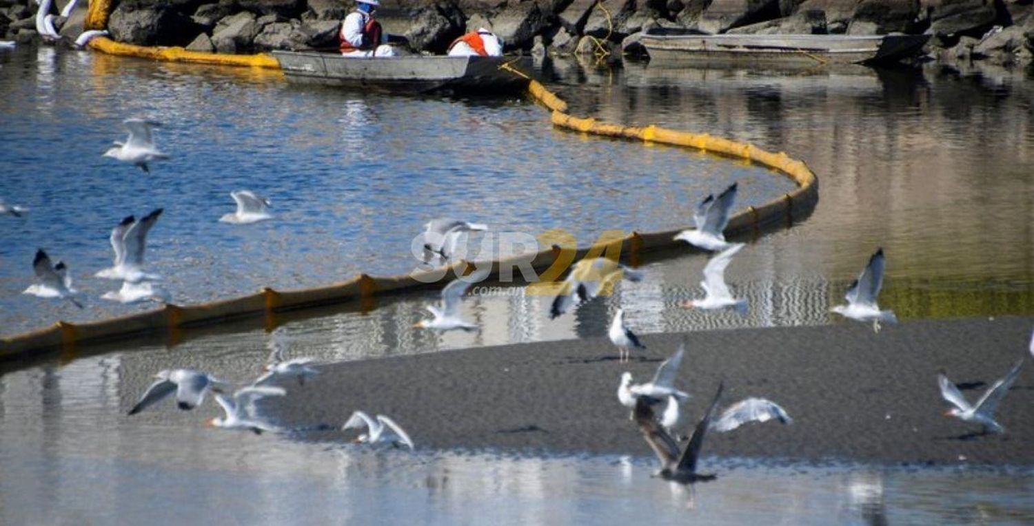 Un derrame de petróleo en California provoca un desastre ecológico