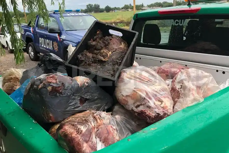 Se define si continúa en prisión el carnicero al que se le secuestraron 6mil kilos de carne en mal estado