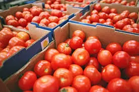 Moreno sugirió sustituir el tomate ante posible escasez
