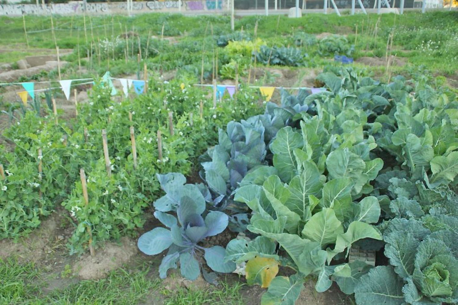 Desarrollo Agrario desarrolla una encuesta sobre unidades hortícolas