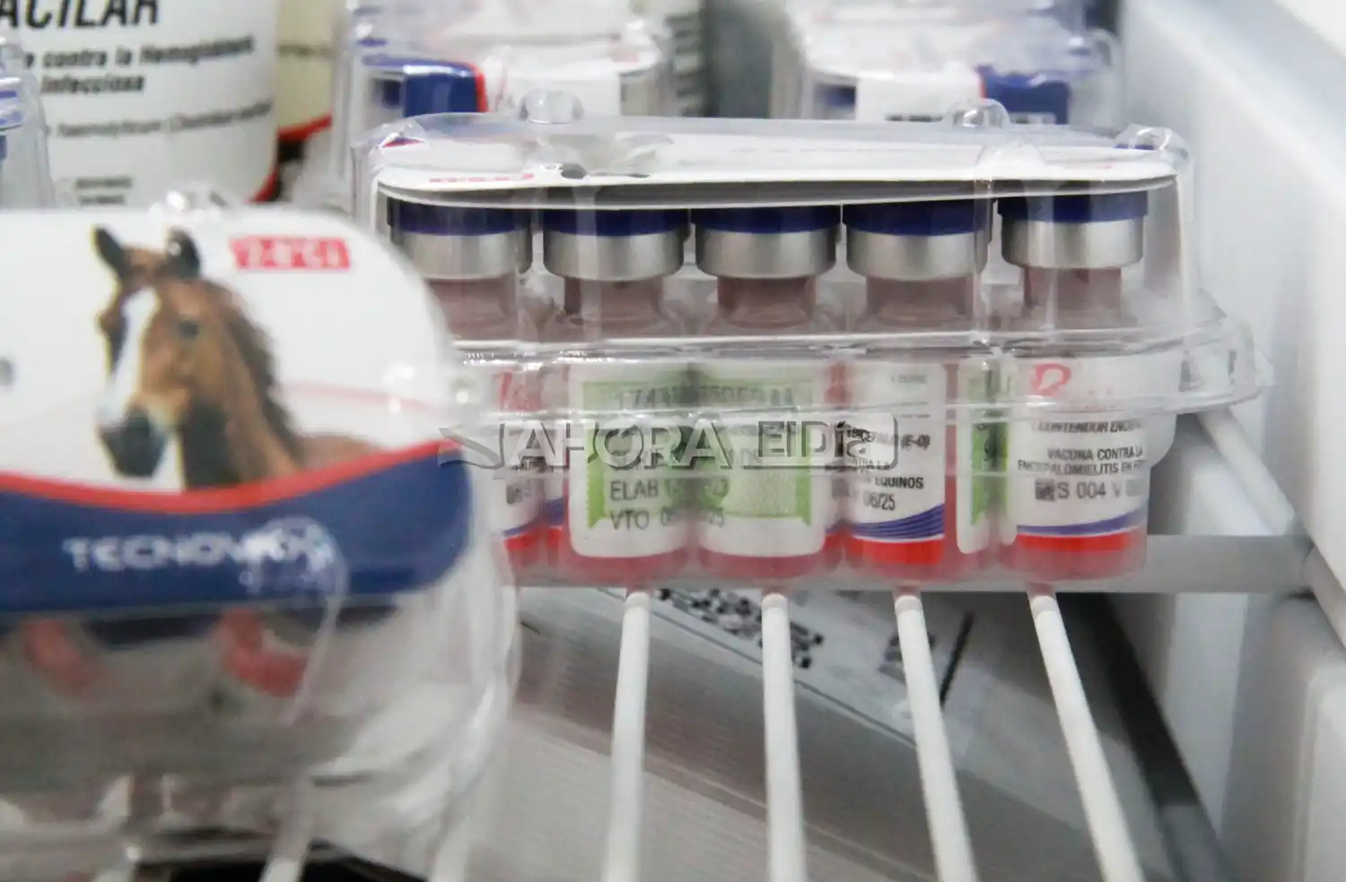 Encefalomielitis equina: Veterinarias de la ciudad recibieron las primeras partidas de vacunas