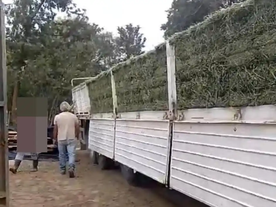 Piden ayuda para trasladar 200 fardos para caballos de Bahía Blanca