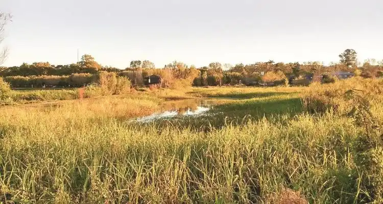 Paseo Público N° 2: Educación vial o ambiental