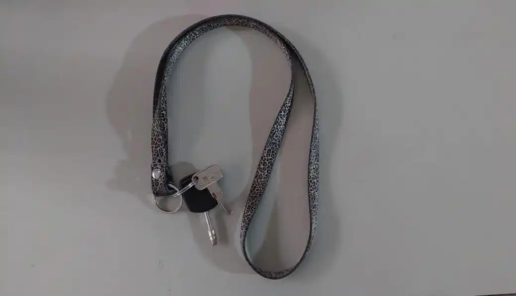 Encontraron estas llaves