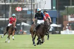Están los finalistas en Palermo
