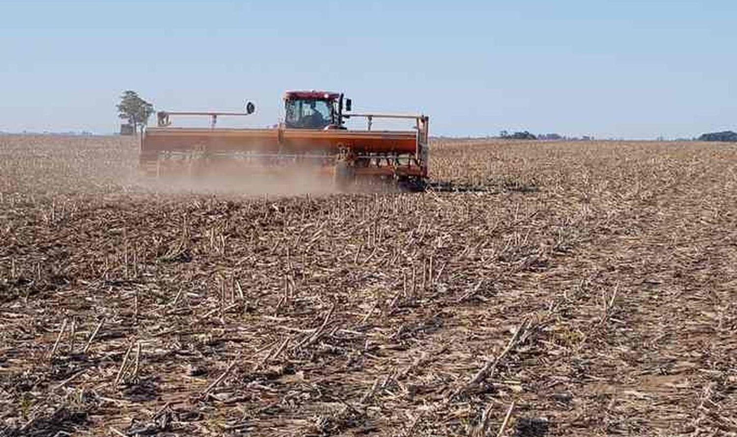 Los productores no miran para arriba porque las lluvias no llegan