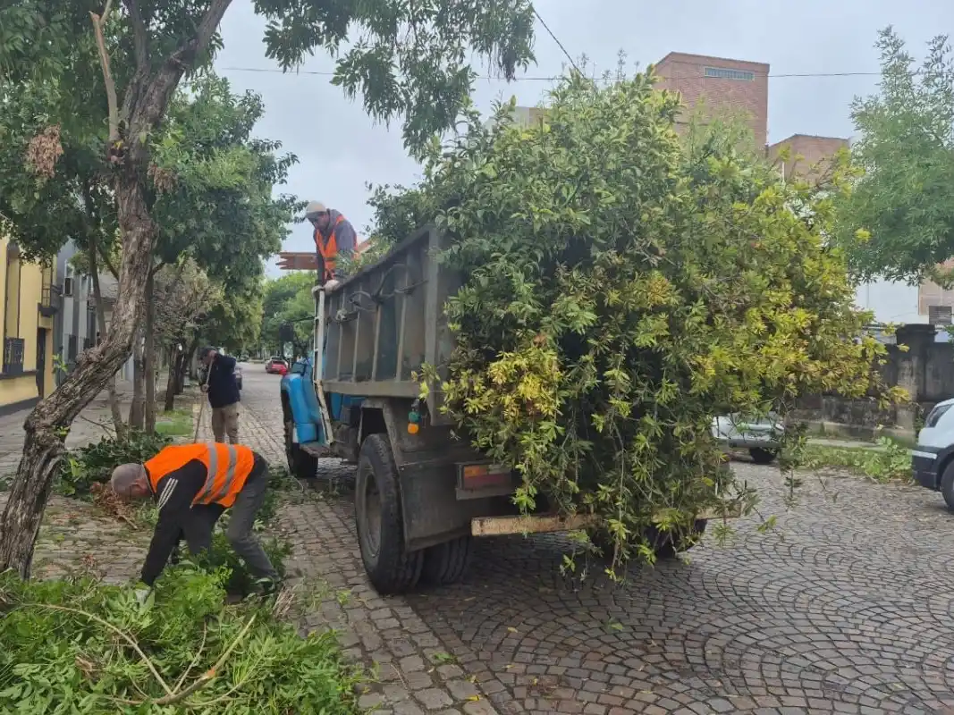 Comenzó una intervención general de la calle Alem para mejorar su paisaje e infraestructura