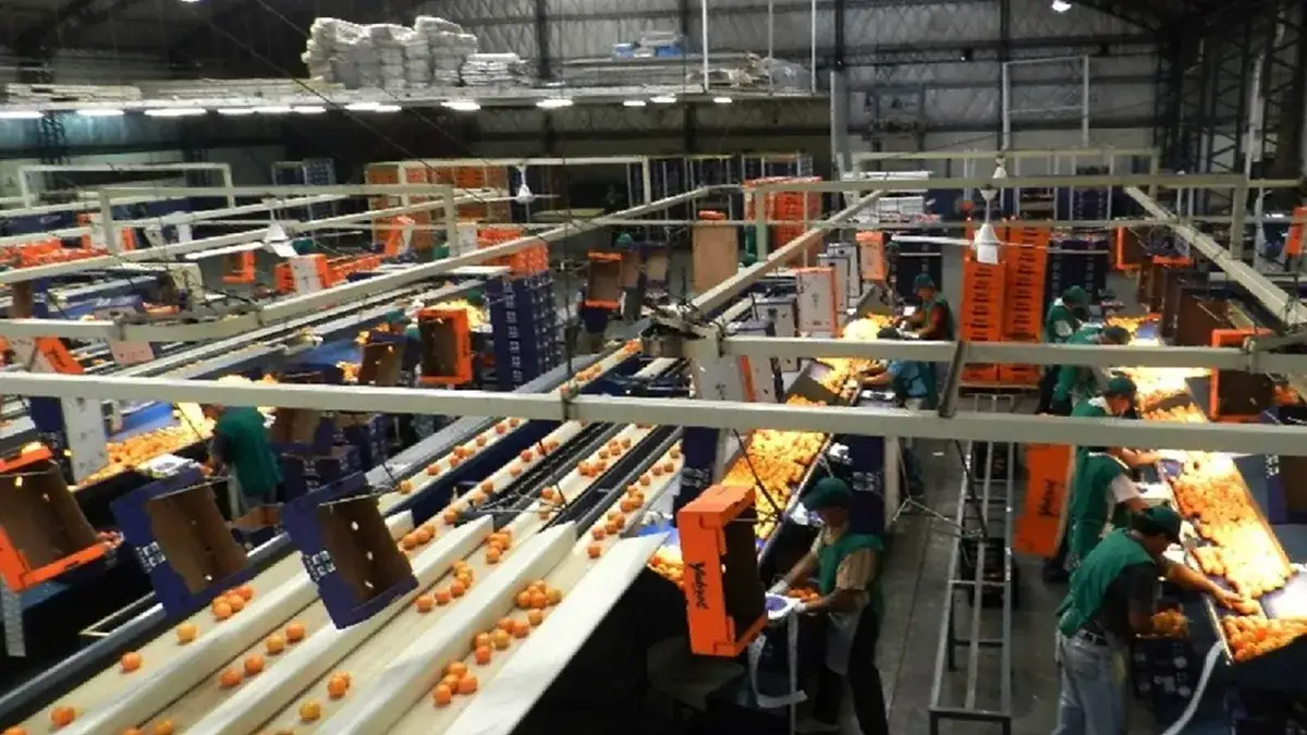 El RINI entrerriano suma 125 empresas con proyectos que superan los 208 millones de dólares en inversión