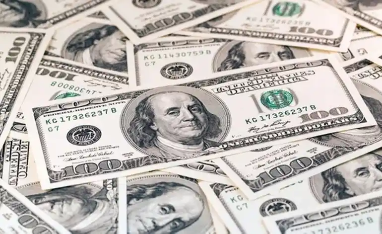 Cotización del dólar: El oficial retrocedió tras el récord del jueves