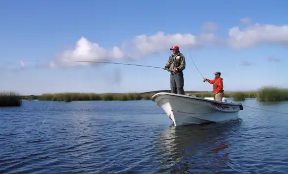 Avanzan en la repoblación de pejerreyes en lagunas bonaerenses  