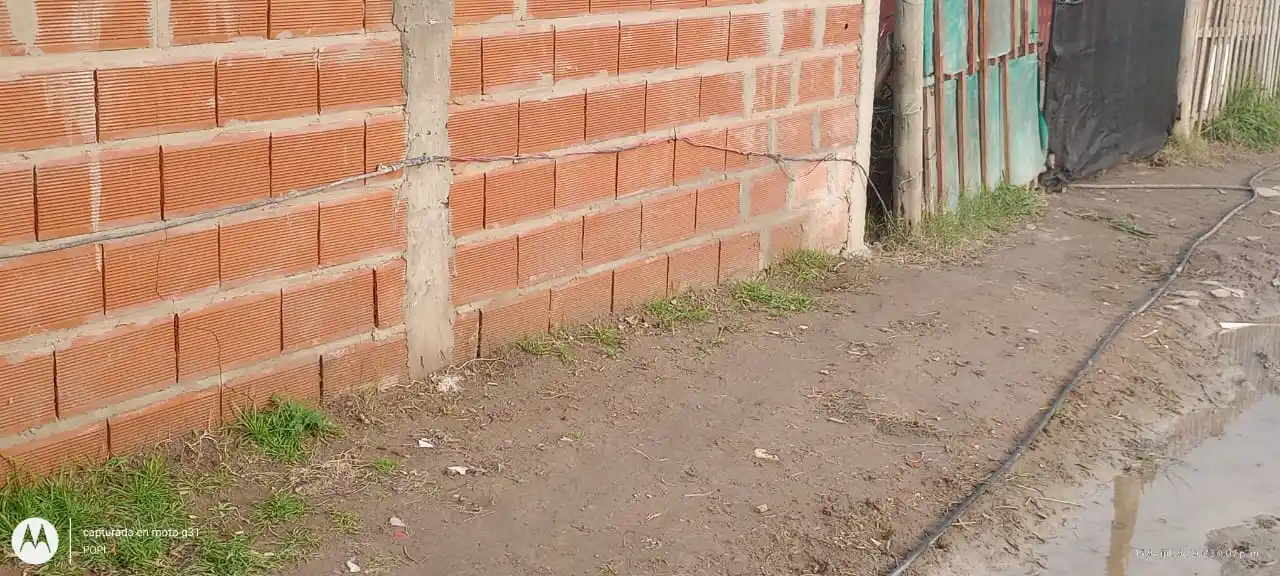 Pagaron por la luz pero tienen conexión clandestina