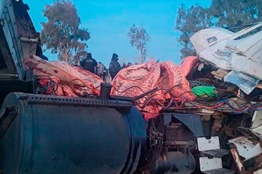 Video: volcó un camión que transportaba carne y vecinos lo saquearon